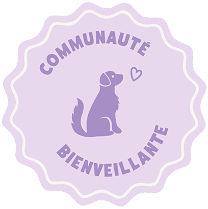 Badge professionnel responsable