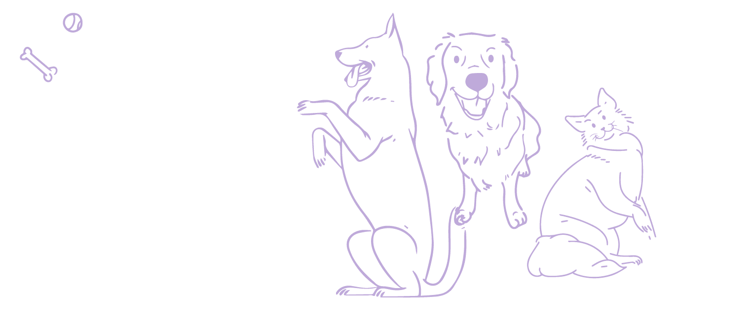 Chiens et chats