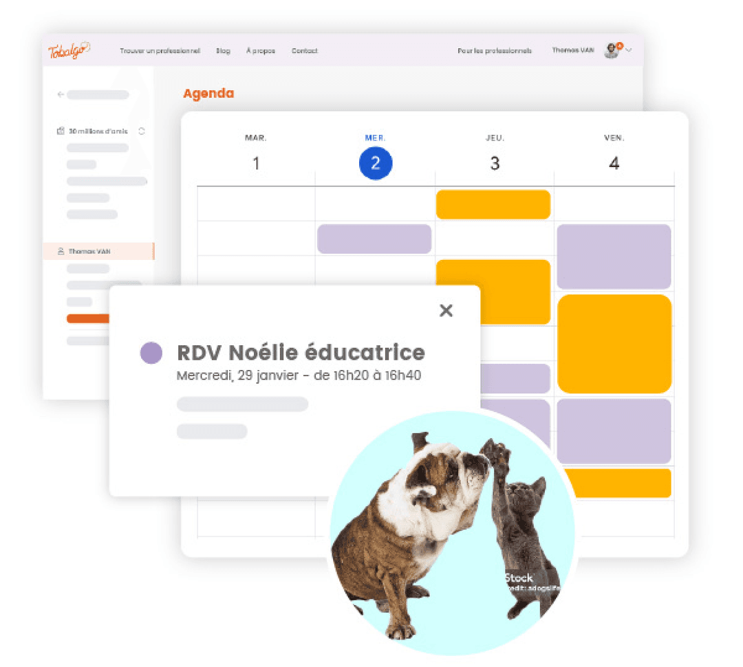 Calendrier professionnel