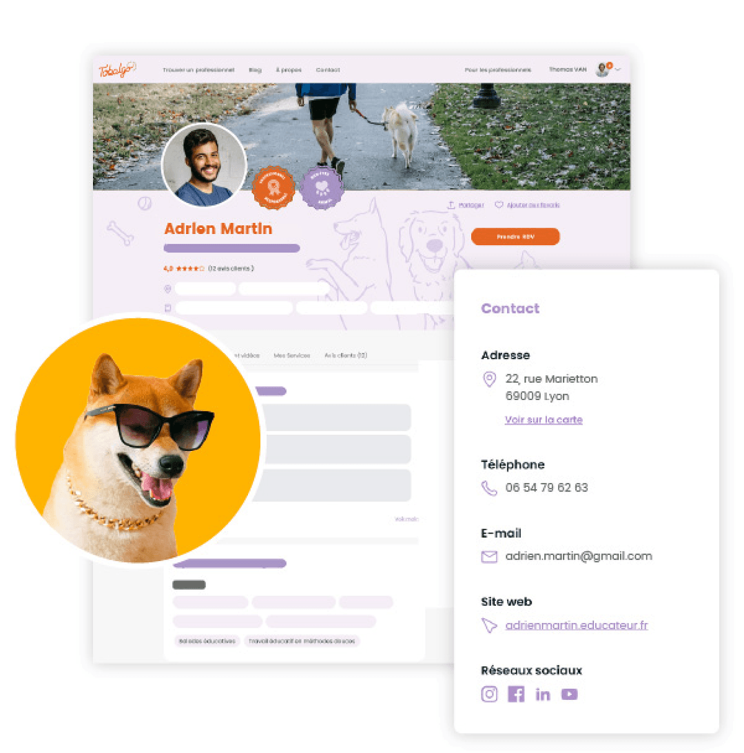 Profil professionnel
