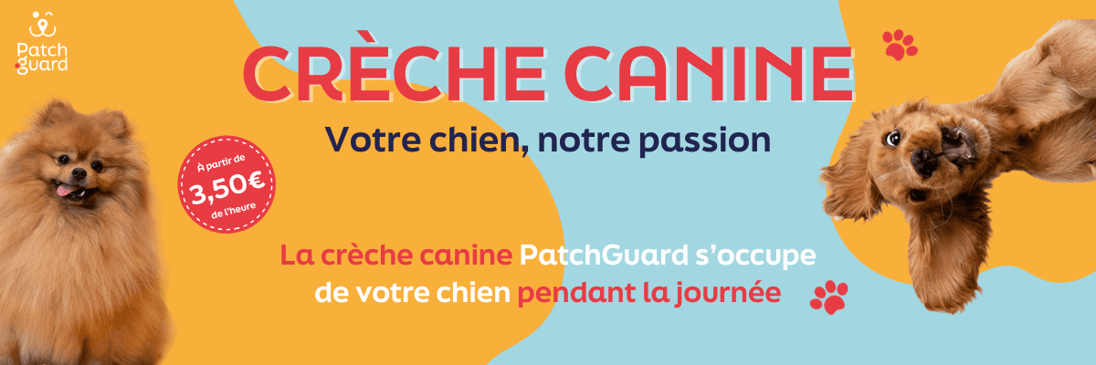 Bannière de PatchGuard Nancy